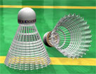 Badminton Shuttles