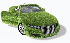 Auto mit Gras